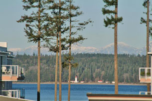 Vancouver Island Cosmetic Dentist Vancouver Island Cosmetic Dentist
